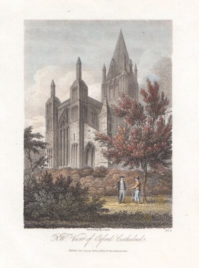 N W View of Oxford Cathedral  (antique print)