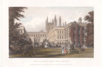 New College from the garden.