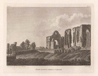 Newtown Abbey