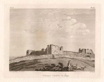 O'Garas Castle