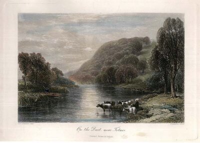 On the Dart near Totness