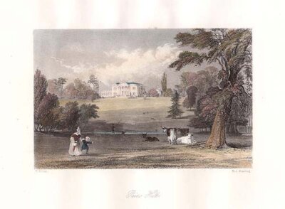 Pains Hill