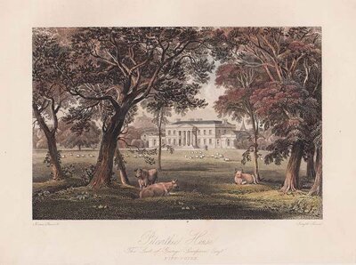 Pitcorthie House The Seat of George Simpson Esq