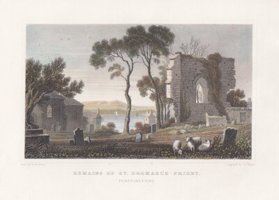 Remains of St Dogmael's Priory