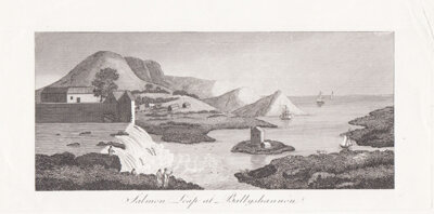 Salmon Leap at Ballyshannon