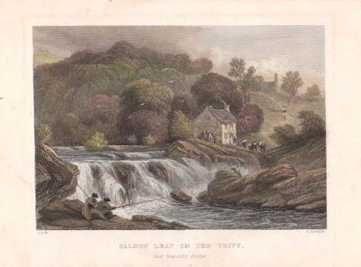 Salmon Leap on the Teivy