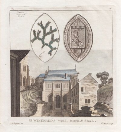 St. Winefred's Well Moss & Seal.  antique print