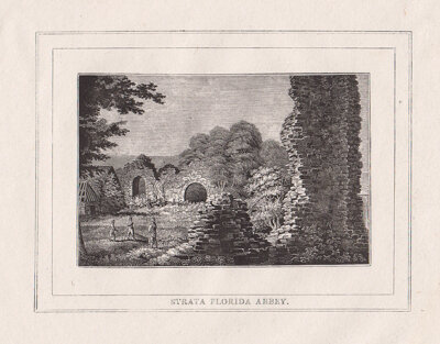 Strata Florida Abbey