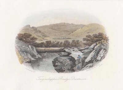 Teignclapper Bridgr Dartmoor