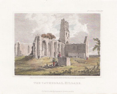 The Cathedral Kildare 