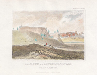 The Rath at Loughlin Bridge Co of Carlow 