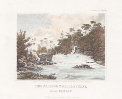 The Salmon Leap Leixlip Co of Dublin 