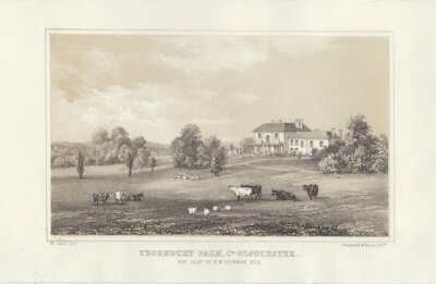 Thornbury Park, Co. Gloucester.  The Seat of H.W. Newman. Esq.  (antique print)