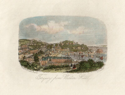 Torquay from Waldon Hill