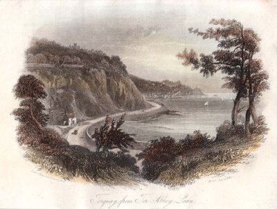 Torquay from Tor Abbey Lawn