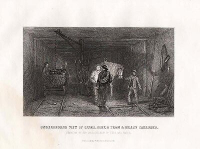 Underground View of Crane Curf & Tram & Rolley Carriages  Previous to the introduction of Tubs and Cages