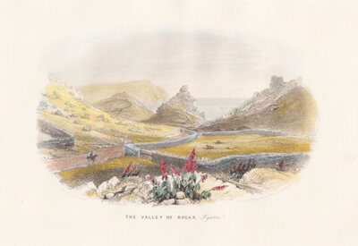 The Valley of Rocks Lynton