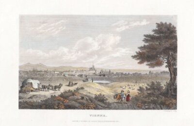 Vienna.  (antique print)