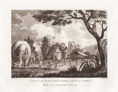 View on the Banks of the Sierra Leona in Africa