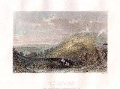 View of Leith Hill