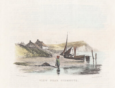 View near Sidmouth 