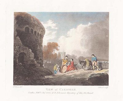 View of Cardigan 