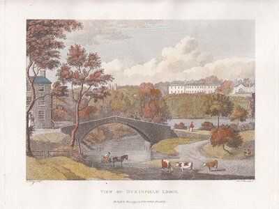 View of Dukinfield Lodge 