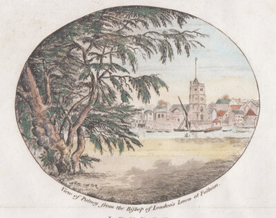View of Putney from the Bishop of London's Lawn at Fulham