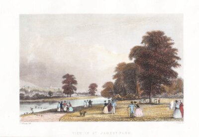 View in St. James's Park.