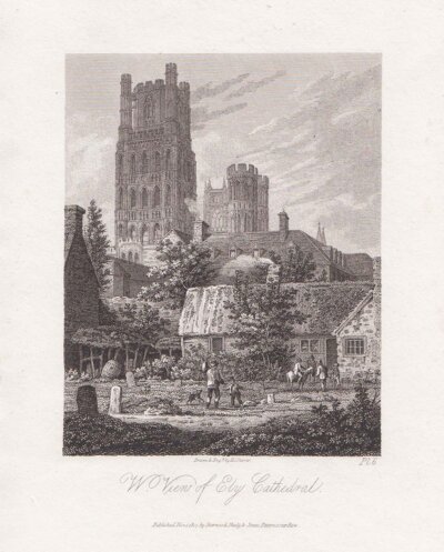 W View of Ely Cathedral 