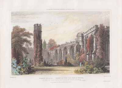 Wells Palace - Ruins of the Old Hall and Chapel.