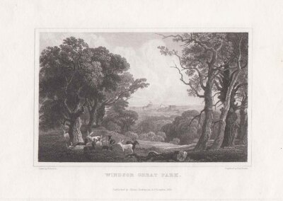Windsor Great Park 