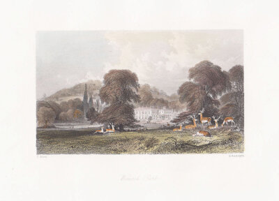 Wonersh Park 