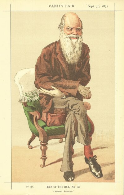 Charles Darwin   (antique print)