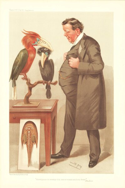 Sir Edwin Ray Lankester   (antique print)