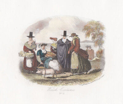 Welsh Costume.  No. 11.