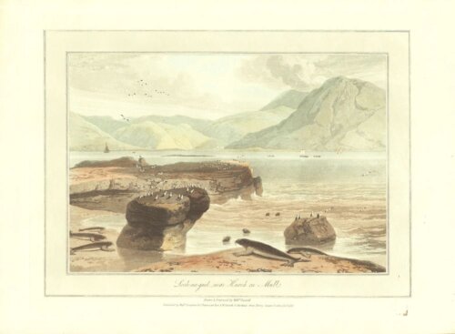 Loch-na-gael, near Knock on Mull - William Daniell.  (antique print)