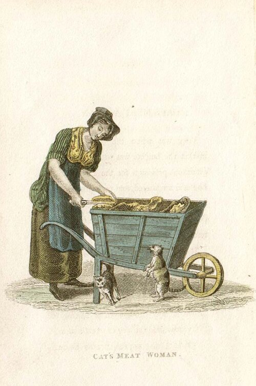 Cat's meat woman