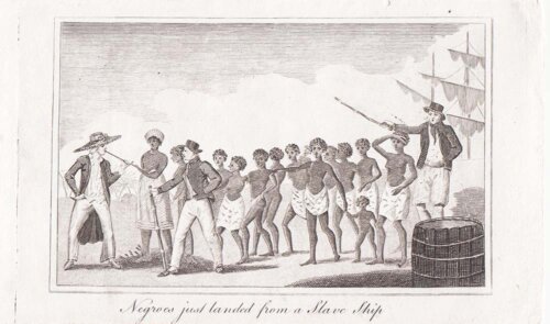 Negroes just landed from a Slave Ship.