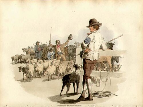 Smithfield Drover
