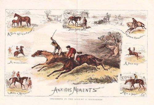 Anxious Moments  -  Incidents in the life of a Racehorse