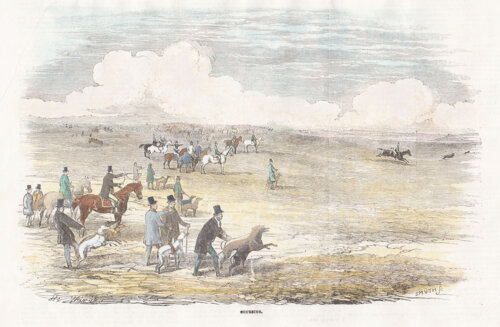 Coursing.