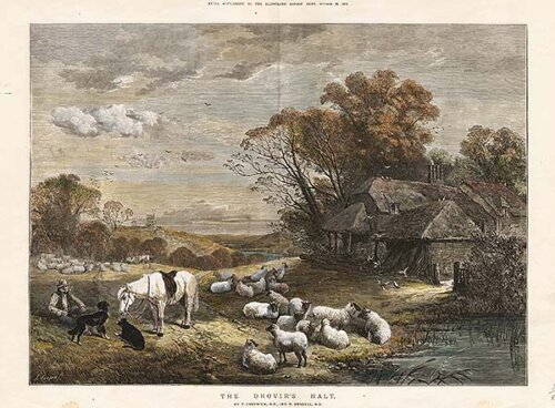 The Drover's Halt