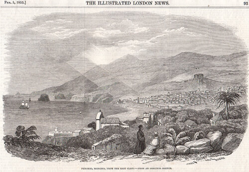 Funchal Madeira from the East Cliff  -  From an original sketch