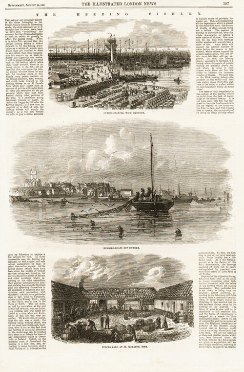 The Herring Fishery