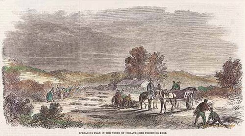 Spreading Flax in the North of Ireland