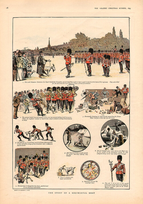 The Story of a Regimental Goat