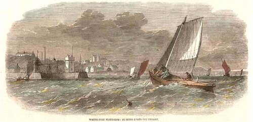White Fish Fisheries:  Fishing Boats off Dysart