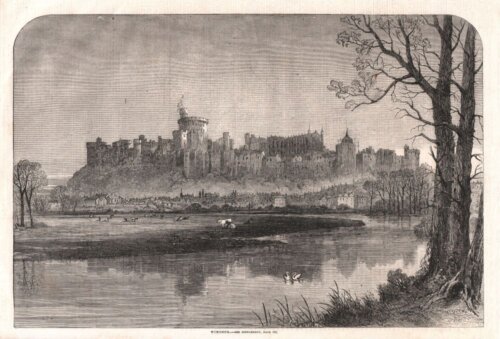 Windsor.