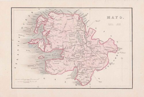 Alfred Adlard  -  Mayo